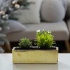 WGVI Long Rectangle Ceramic Planter Vase in Gold Etched 14"
