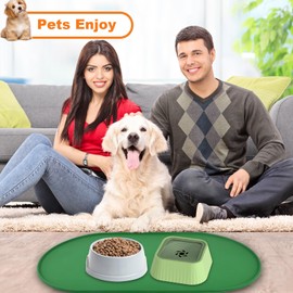 Waterproof Dog Food Bowl Mat, Pet Silicone Mat, Pet Food Mat with Edge, Dog Food Mat on Floor, Dog Bowl Mat, Pet Feeding Mat, Pet Food and Water Mat, Non-Slip Dog Food Mat (Small, Green)