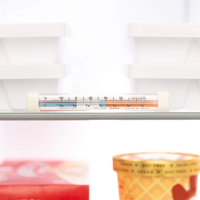 Taylor Kitchen Refrigerator/Freezer Kitchen Thermometer with Magnified Lens, Stainless Steel