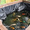 ALDMIO 15x20 ft Pond Liner, HDPE Thickness Fish Pond Liners