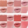 COLORGRAM Nude Blur Tint & SHINCHAN Hair Pin Set 2items