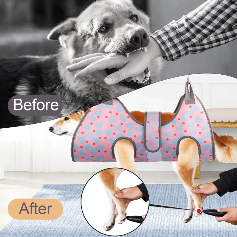 Ateson Dog Grooming Hammock for XL Large Dogs with Nail