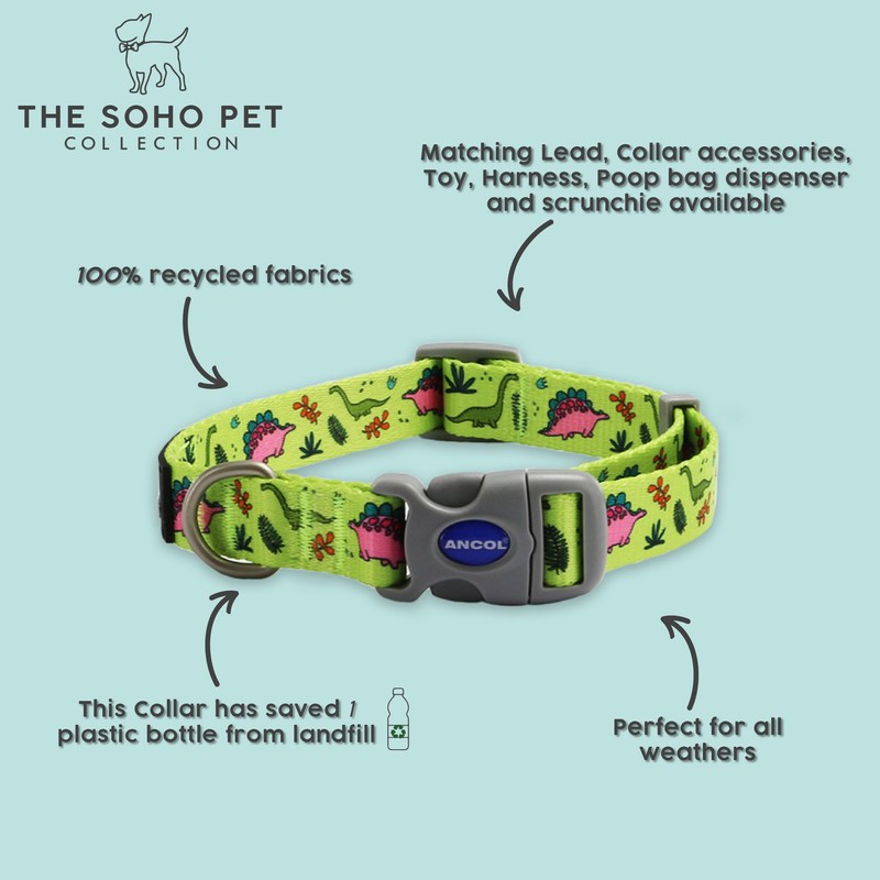 Ancol Dino Patterned Round Dog Collar Lightweight Sturdy Grip Adjustable