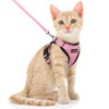 Dooradar Cat Harness and Leash Set, Escape Proof Safe Adjustable