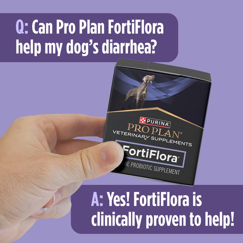 Purina Pro Plan Veterinary Supplements FortiFlora Canine Probiotics for Dogs,