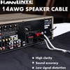HANNLINTE 14AWG Speaker Wire Cable (10 Feet), 1 Pack Premium