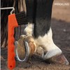 Hoof Pick for Horses Donkey Goat Hoof with Extra Stable