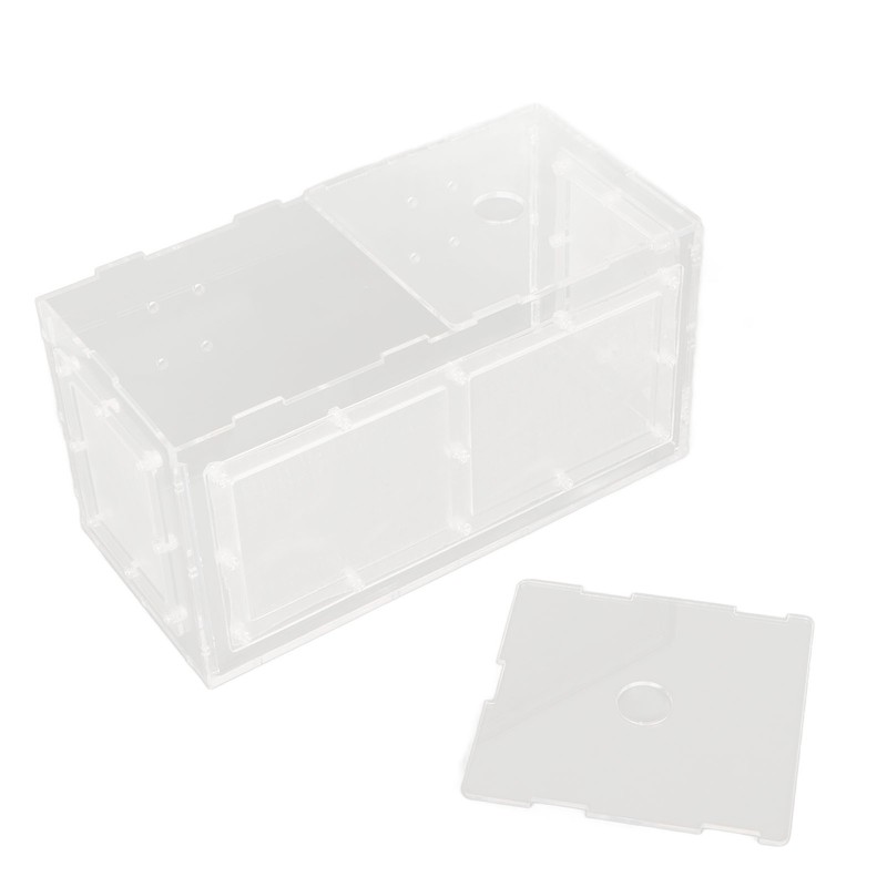 Fish Breeding Isolation Box Transparent Mesh Side Fish Tank Incubator