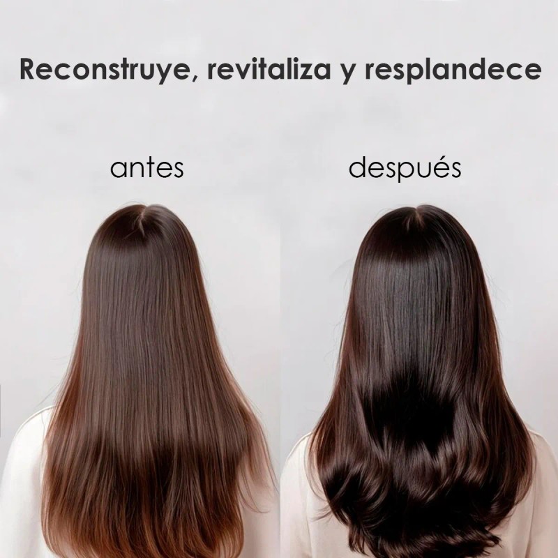 Midollo Di Bamboo Ampolletas Caja 12x13ml Alfaparf