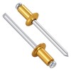 Wensilon (350 Pcs) 1/8"x3/8" Golden Aluminum blind pro Rivets,Golden Aluminum