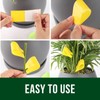 Garsum 21 Traps Sticky Houseplant Traps Gnat Yellow Insect Trap