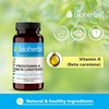 Beta-Carotene 300 Capsules 15000 mcg - High-Potency Provitamin A for