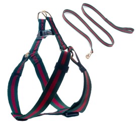 Elegant and Stylish Dog Harness and Leash,Durable Soft Neck and Chest Adjustable Pet Harness,Luxury Dog Harnesses and Dog Leashes Set Packing Gift for Medium Dogs