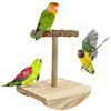 kathson Bird Training Stand, Parakeet Playground Bird Perch Stand Portable