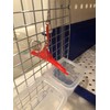 DryFur Hook On Pet Carrier Door - Water FUNNEL Spout