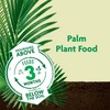 Miracle-Gro Miracle-Gro Shake 'N Feed Palm Plant Food, For Container