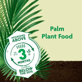 Miracle-Gro Miracle-Gro Shake 'N Feed Palm Plant Food, For Container and In-Ground Plants, Palm Trees, Cycads and Tropical Plants, 4.5 lbs.