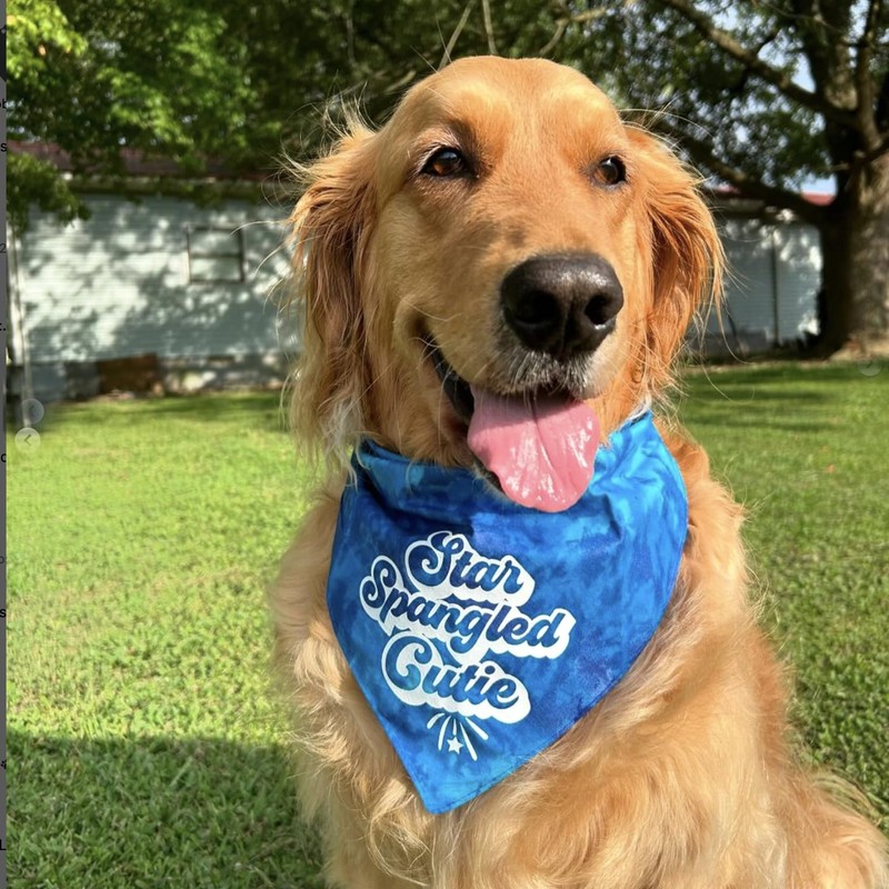 Star Spangled Cutie Dog Bandana | 100% Adjustable Cotton Tie