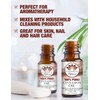 Ethereal Nature 100% Pure Oil, Cinnamon, 1.01 Fluid Ounce