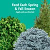 Miracle-Gro Shake 'N Feed Flowering Trees and Shrubs Plant Food,
