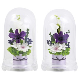 Art Four Seasons ● 2 Color vs. Design SET Grape Preserved Flower