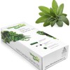 Window Garden - Sage Herb Kit - Grow Your Own