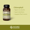 Nature's Sunshine Chlorophyll, 60 Softgel Capsules: Support Digestion, Immunity &