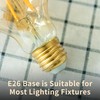 12Pack 2200k Led Light Bulb, Vintage A19 Edison Bulbs, Dimmable