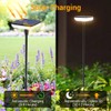 Ainostone Solar Lights Outdoor Pathway 8 Pack IP65 Waterproof 31"