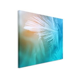 Paul Sinus Art Photo Canvas 90 x 60 cm Artistic Photography - White Feathers with Turquoise Background on Canvas Exclusive Wall Picture Modern Photography for Your Wall in Many Sizes