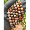 Crystals in Nature Polychrome Jasper Bead Bracelet (8mm) Natural Crystal