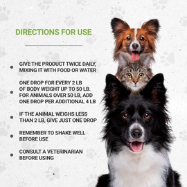 Wolf's Immune Boost | Natural Herbal Dietary Supplement for Dogs | Immune Support in Dogs | Alcohol-Free Extract, Echinacea Root, Reishi, Milk Thistle, Olive, Elderberry 2 oz