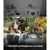 PetTec CCTV Camera Full HD 360° WiFi Night Vision Automatic