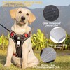 Dog Harness, Anti-Pull Dog Harness, Adjustable No Pull Dog Harness