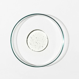 Grown Alchemist Hand Wash Sweet Orange, Cedarwood and Sage. Gentle Hand Wash that Hydrates and Cleanses Skin (300ml).