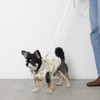 Monchéri (PU Leather Tape Harness + Lead Set) Dog Harness,