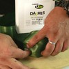 UGlu Dashes-1000