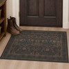Dark Brown 2x3 Washable Entry Rug, Throw Small Rugs for