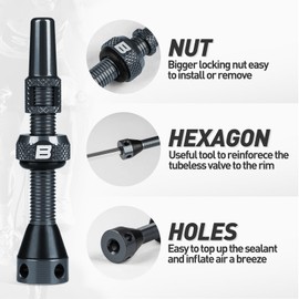 BWSHLF Gray Tubeless Presta Valve Stem 100mm, Super Light Alloy Presta Valve Stem Kit with Valve Core Remover Tool and Valve Stem Caps - Multiple Color and Size Options(Pair)