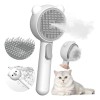 Cepillo De Vapor Para Gatos Con 2 Niveles De Pulverización
