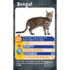 Cats Top Trumps Card Game