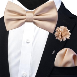 Branduce Champagne Bow Tie for Men Wedding Solid Satin Silk Bowties Pocket Square and Lapel Pin Brooch Set (BB07-09)