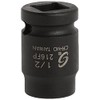 SUNEX TOOLS 216fp 1/2-Inch Drive 1/2-Inch Female Pipe Plug Socket