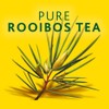 Freshpak® Rooibos Tea | 80 Tagless Teabags | Packed at