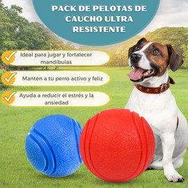 JyD SHOWPETCRAZY Toys Dog Ball Indestructible, Rubber Dog Ball Masiso TPR High Density, 2 Balls for Dogs Training and Fun, Gifts for Dogs