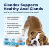Vetnique Labs Glandex Anal Gland Soft Chew Treats with Pumpkin