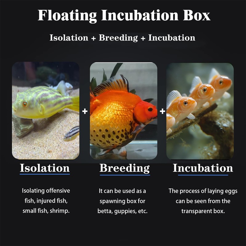 WEAVERBIRD Aquarium Fish Breeder Box, Acrylic Fish Isolation Breeding Box,
