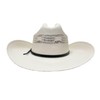 American Hat Makers Western Straw Cowboy Hat