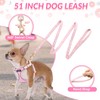 Eyein Small Dog Harness and Lead Set - Soft Mesh