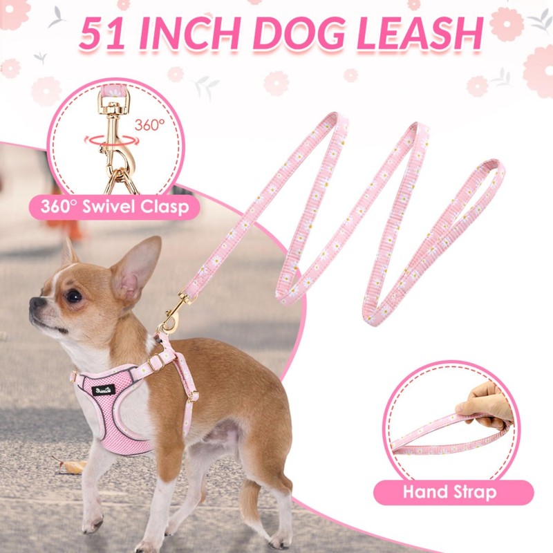 Eyein Small Dog Harness and Lead Set - Soft Mesh